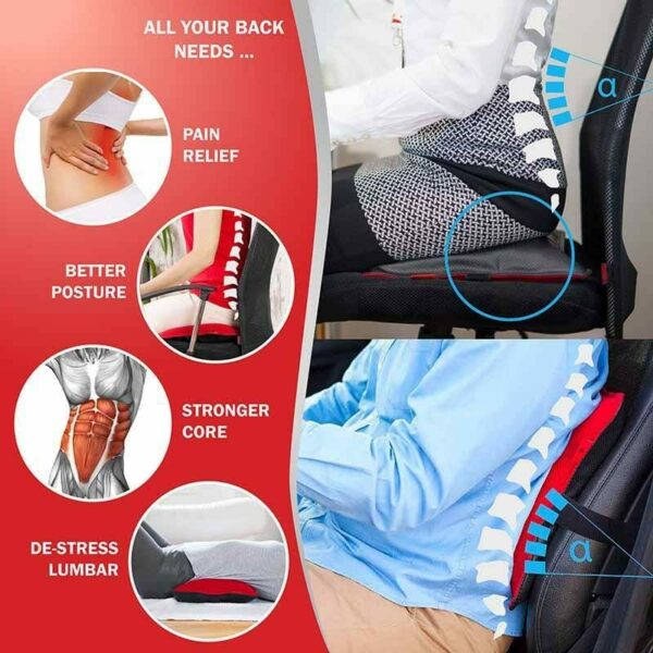 Back Vitalizer (Seat Cushion & Lumbar Support)