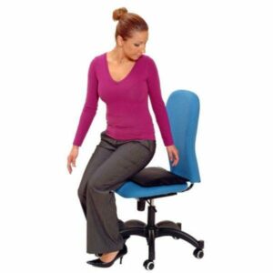 Back Vitalizer (Seat Cushion & Lumbar Support)