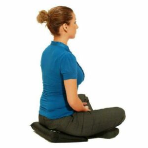 Back Vitalizer (Seat Cushion & Lumbar Support)